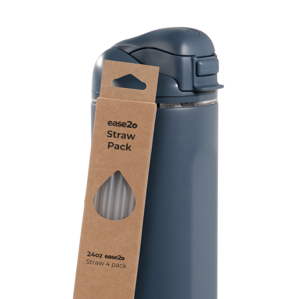 Ease2o Straws 4 Pack 24oz (S38KJ)